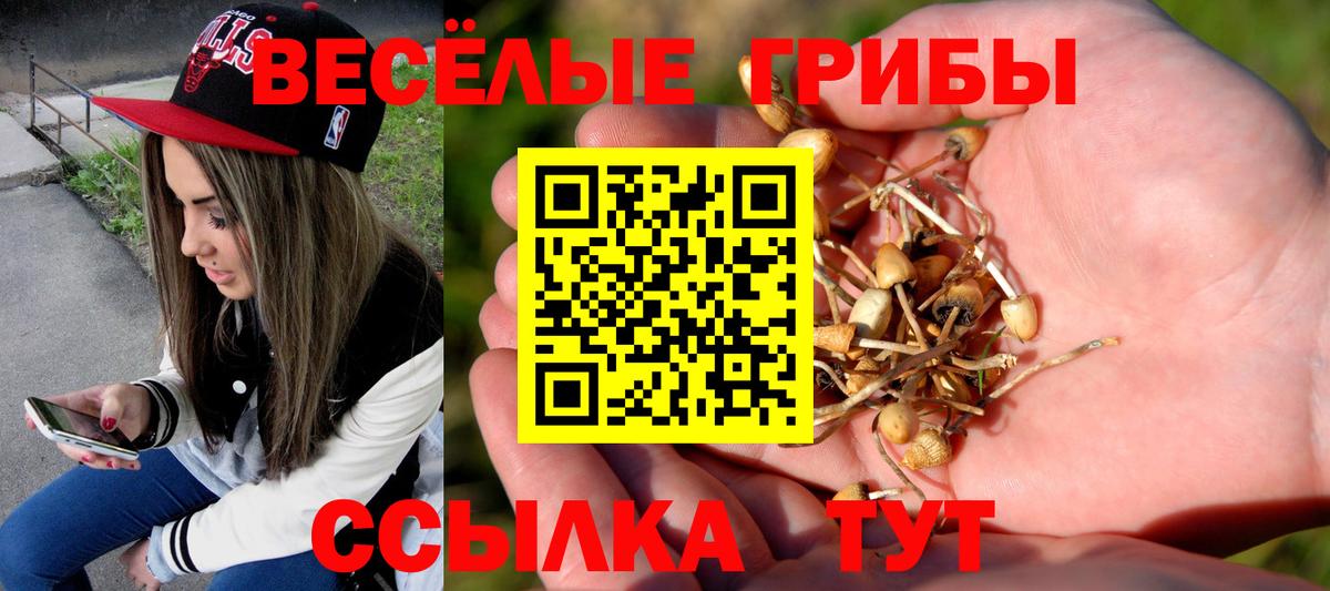 Псилоцибиновые грибы GOLDEN TEACHER Октябрьский