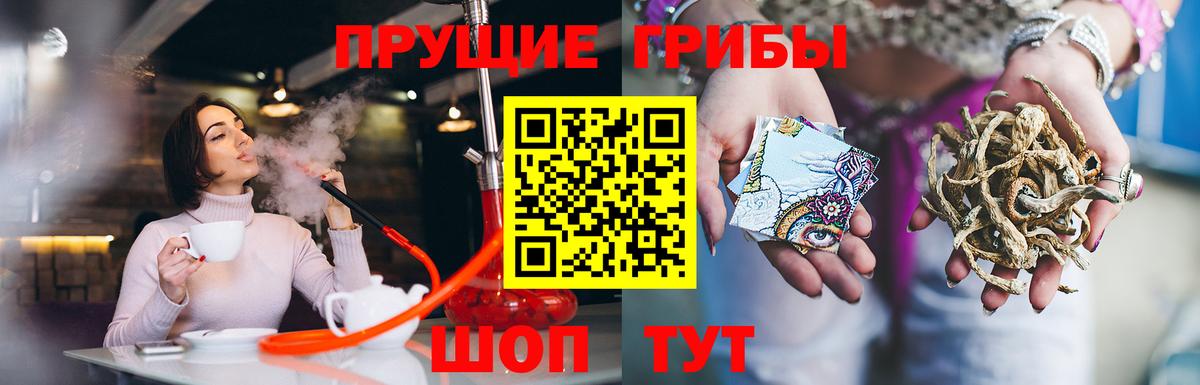 Галлюциногенные грибы GOLDEN TEACHER  Галлюциногенные грибы GOLDEN TEACHER  Октябрьский  Вход с VPN 
